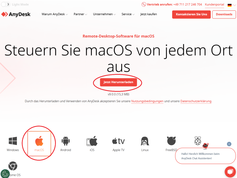 Datei:Anydeskinstall.png